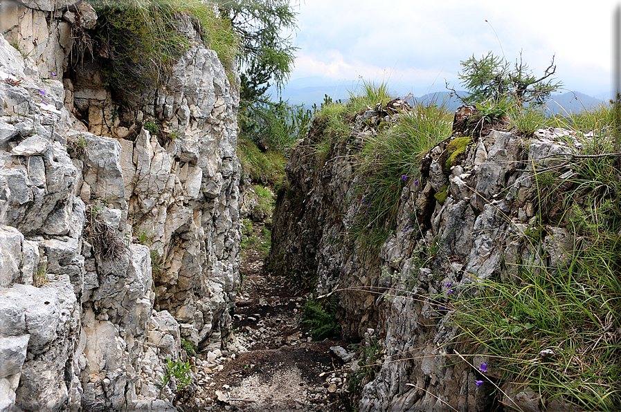 foto Trincee sul Monte Lozze